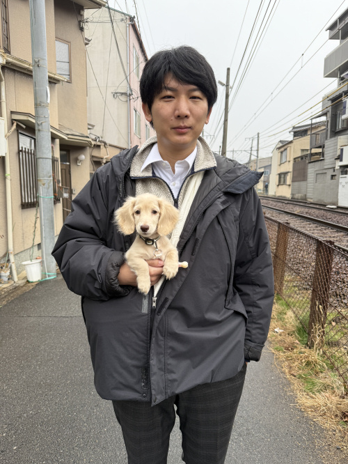 愛犬の画像