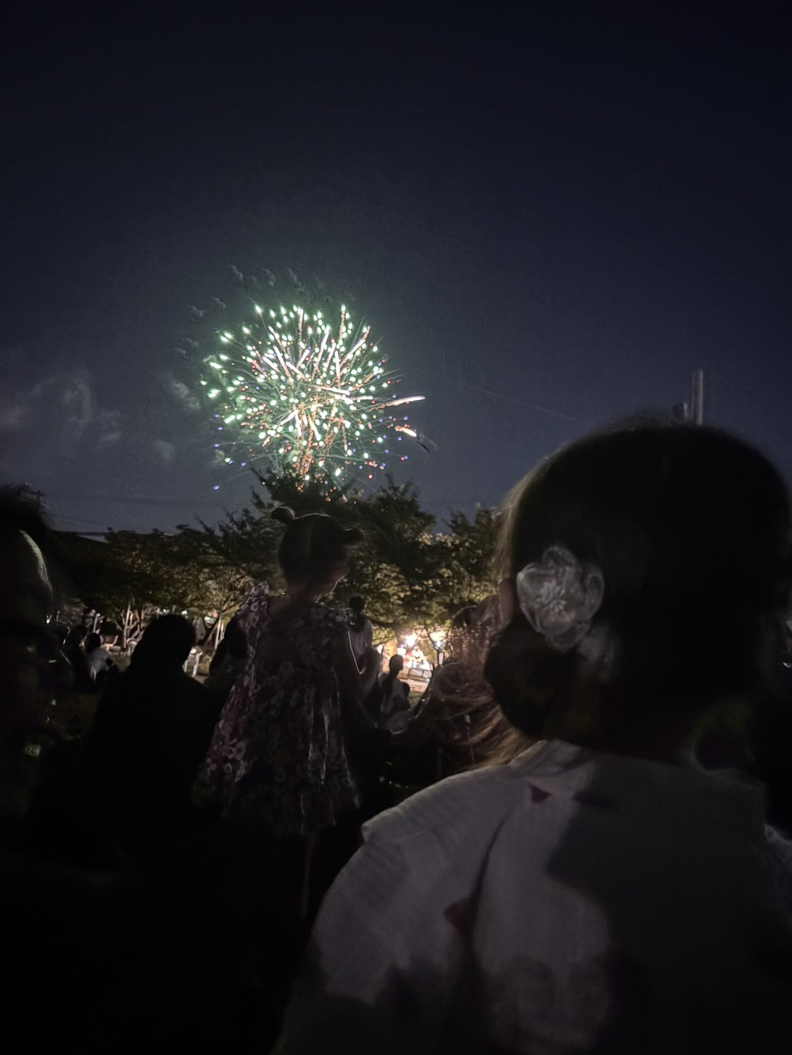 納涼夏祭りの画像