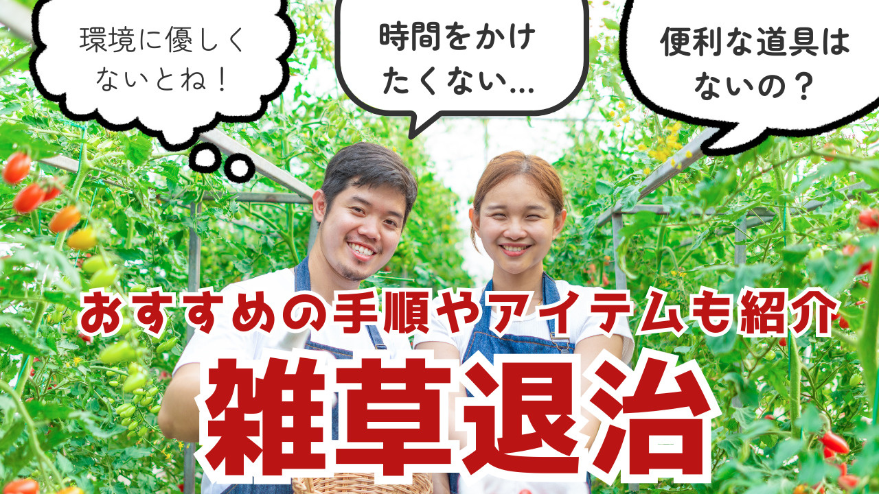 雑草退治を楽に行う方法はある？おすすめの手順やアイテムも紹介...の画像