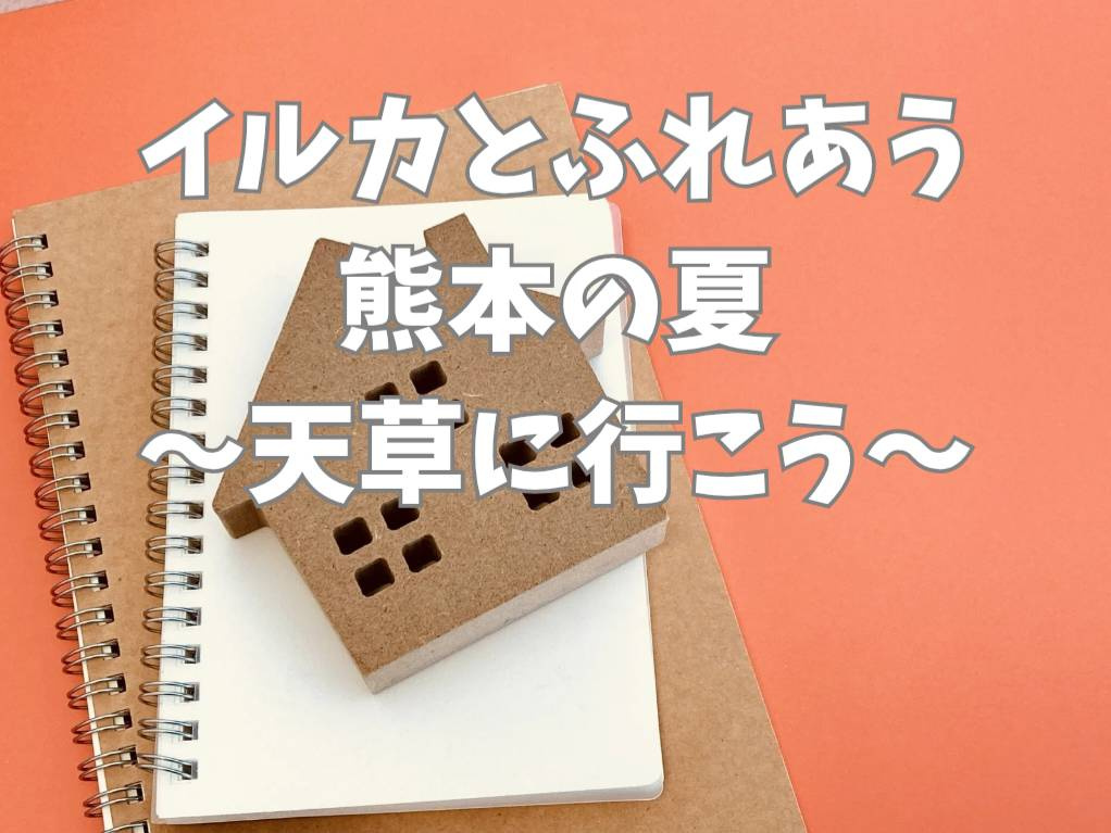 天草でイルカと過ごす夏休みはいかが？シードーナツやイルカウォ...の画像