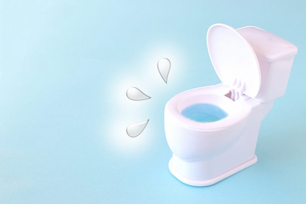 「トイレのトラブルと応急処置」の画像