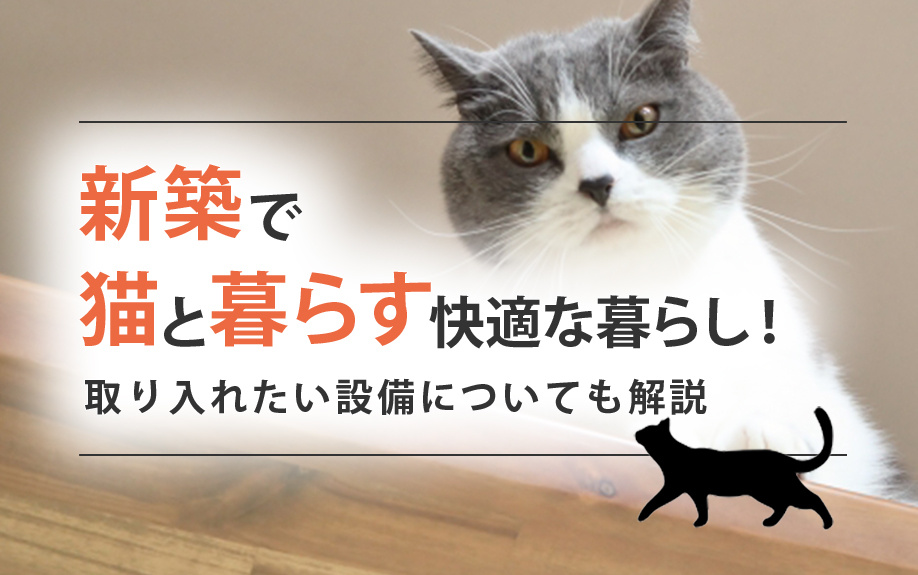 新築で猫と暮らす快適な暮らし！取り入れたい設備についても解説...の画像