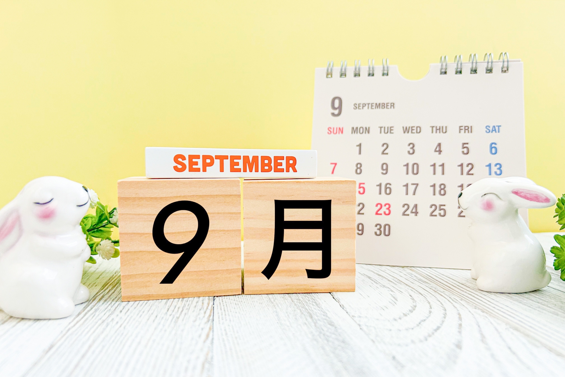 9月の部屋探しで失敗しないポイントは？注意点や準備のコツも紹...の画像