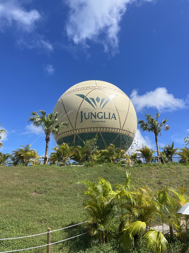 「いま話題のジャングリア沖縄」の画像