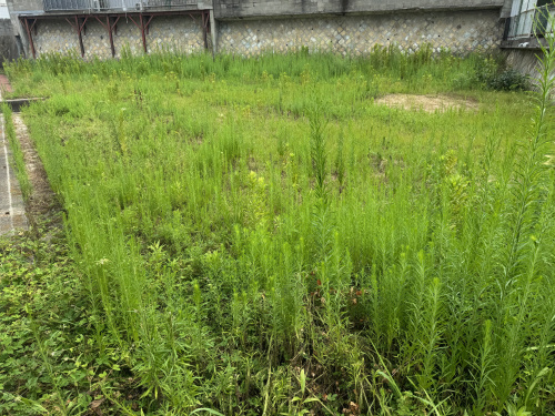 垂水区新築戸建の画像