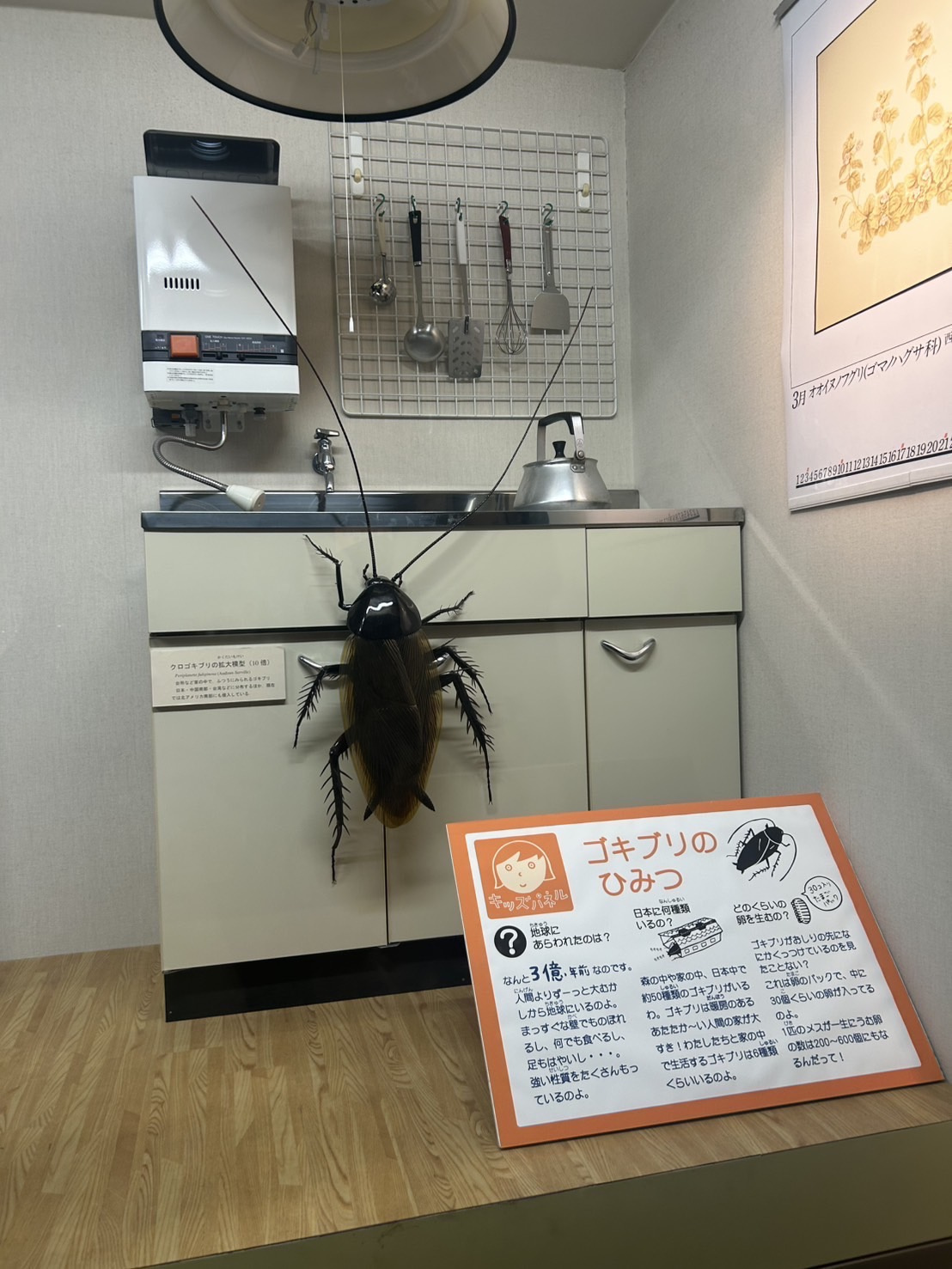 ★Gの歴史★の画像