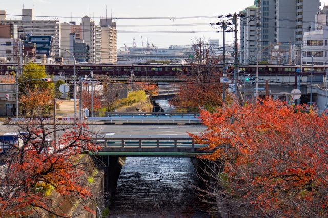 明日は秋分の日☆明石市内でオススメのお出かけスポットをご紹介...の画像
