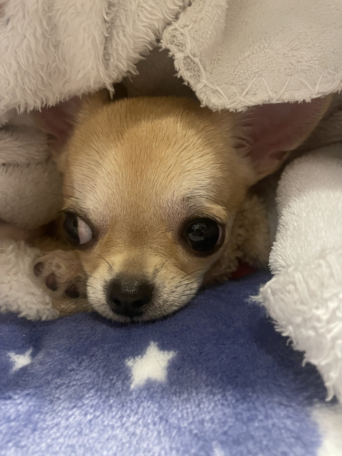 【2025年8月最新版】千歳烏山駅ラーメンおすすめ5選｜ポワ...の画像