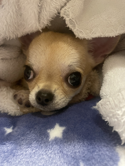 【2025年8月最新版】千歳烏山駅で見つけたパン屋5選｜ポワ...の画像