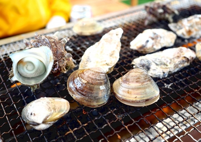 福岡市西区で糸島のおいしいご飯屋さんはどこ？住宅購入検討中の...の画像