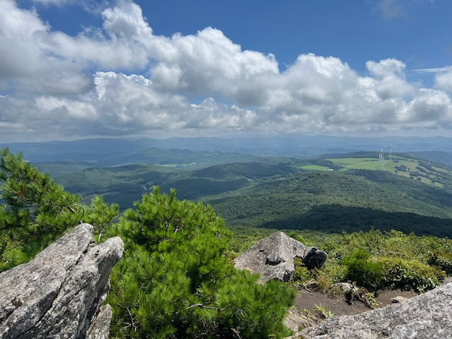 夏山の画像
