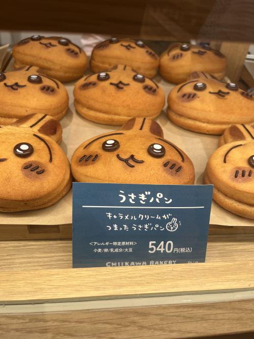 熊本市で水害に備える住宅対策は？購入時の注意点も紹介の画像