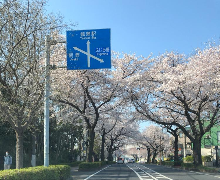 富士見市で子育て支援は充実している？住みやすさも子育て世帯が...の画像