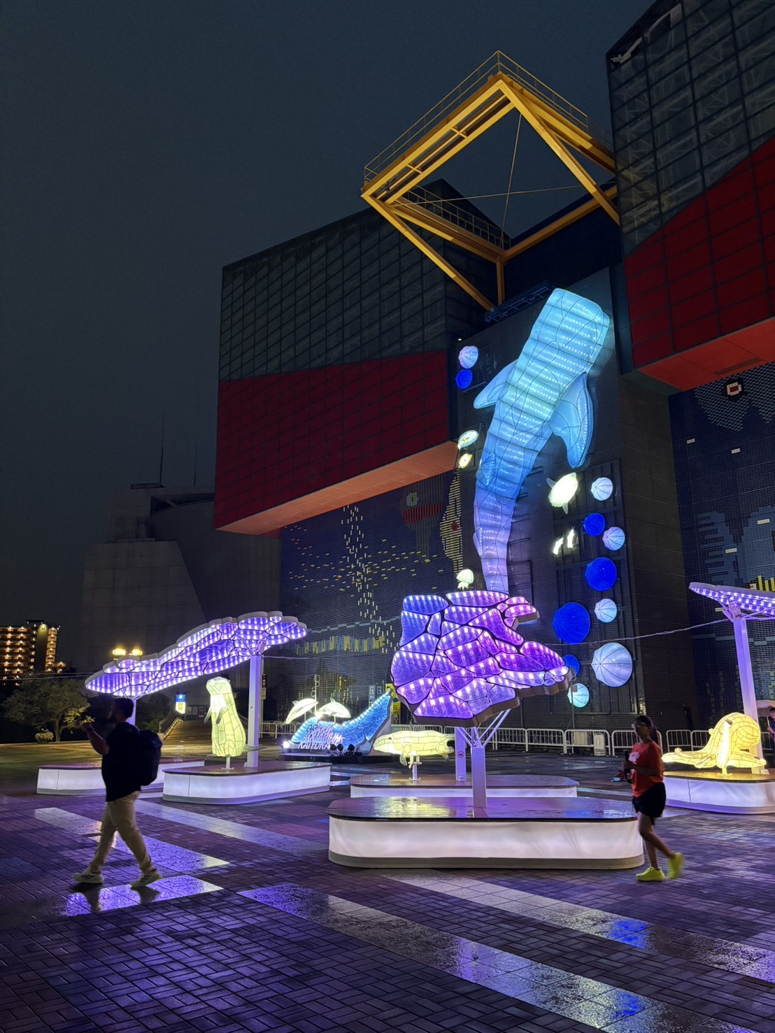 ☆海遊館☆の画像