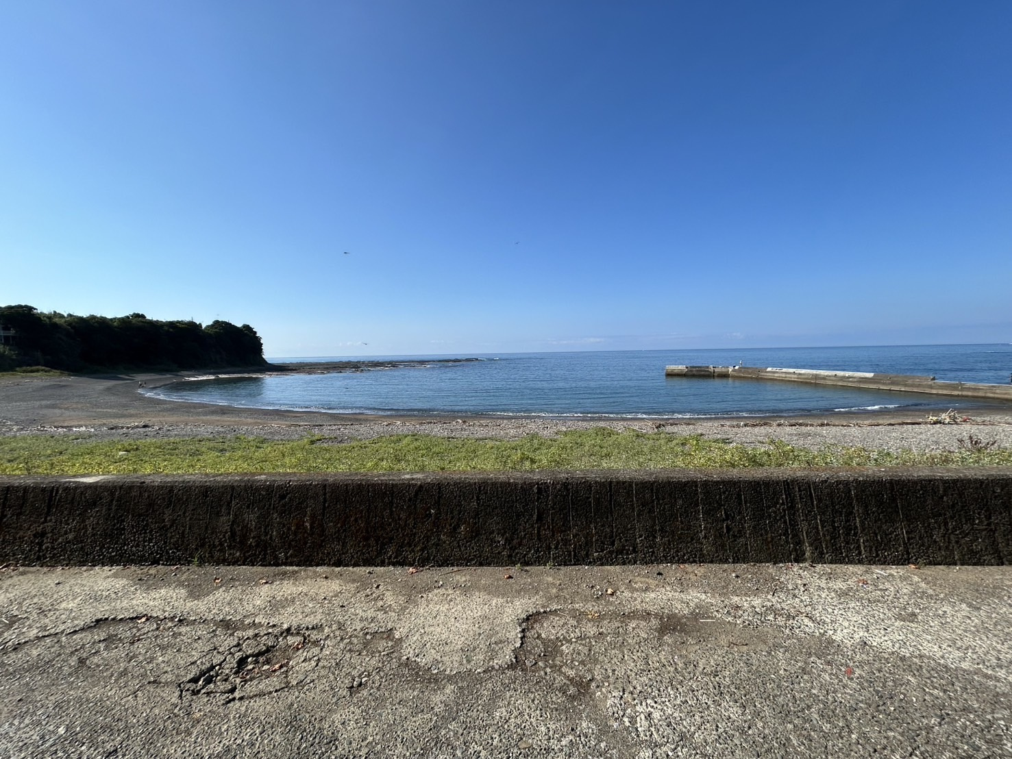 ☆イカ釣り☆の画像