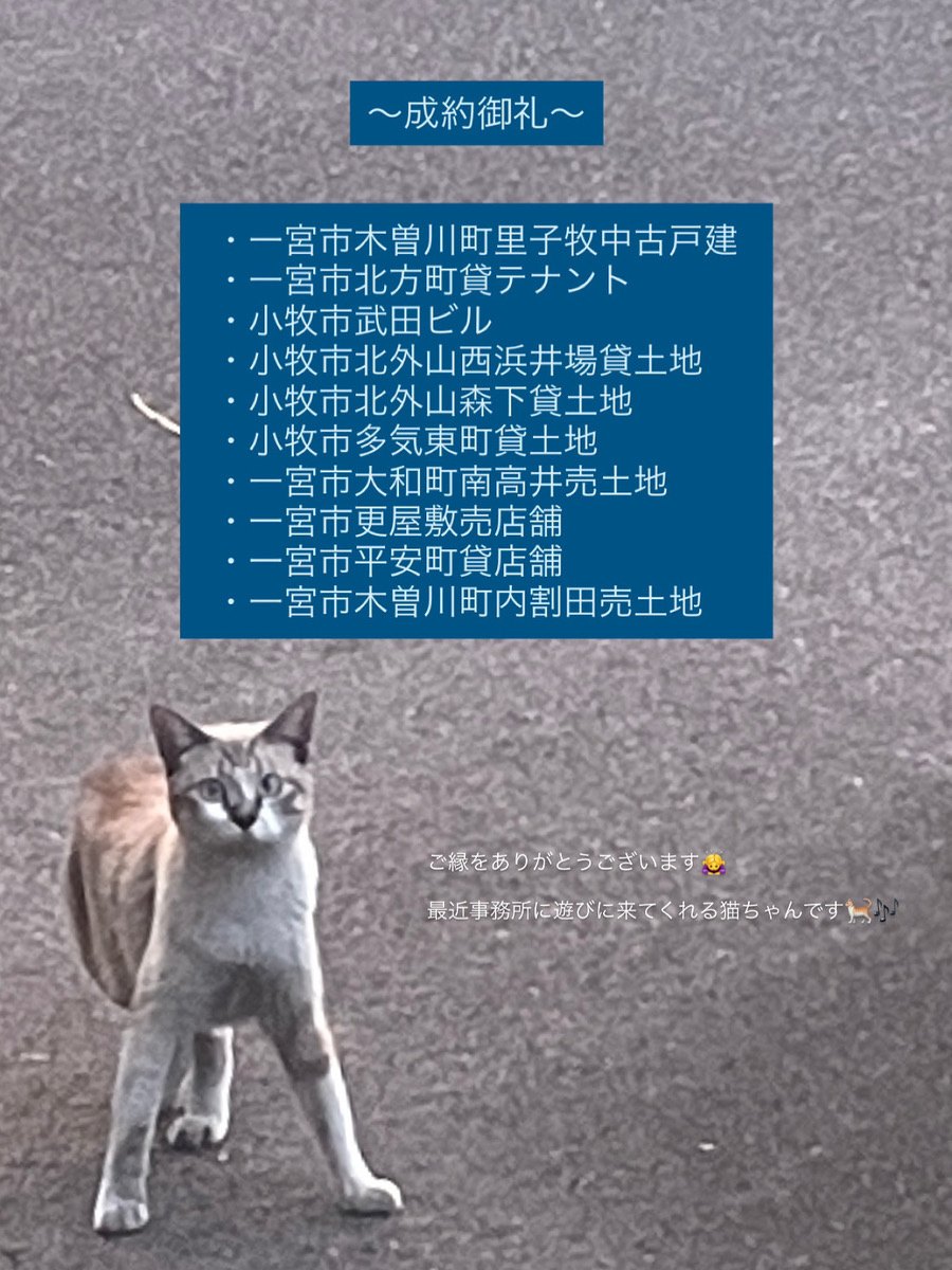 ～最近の成約御礼～の画像