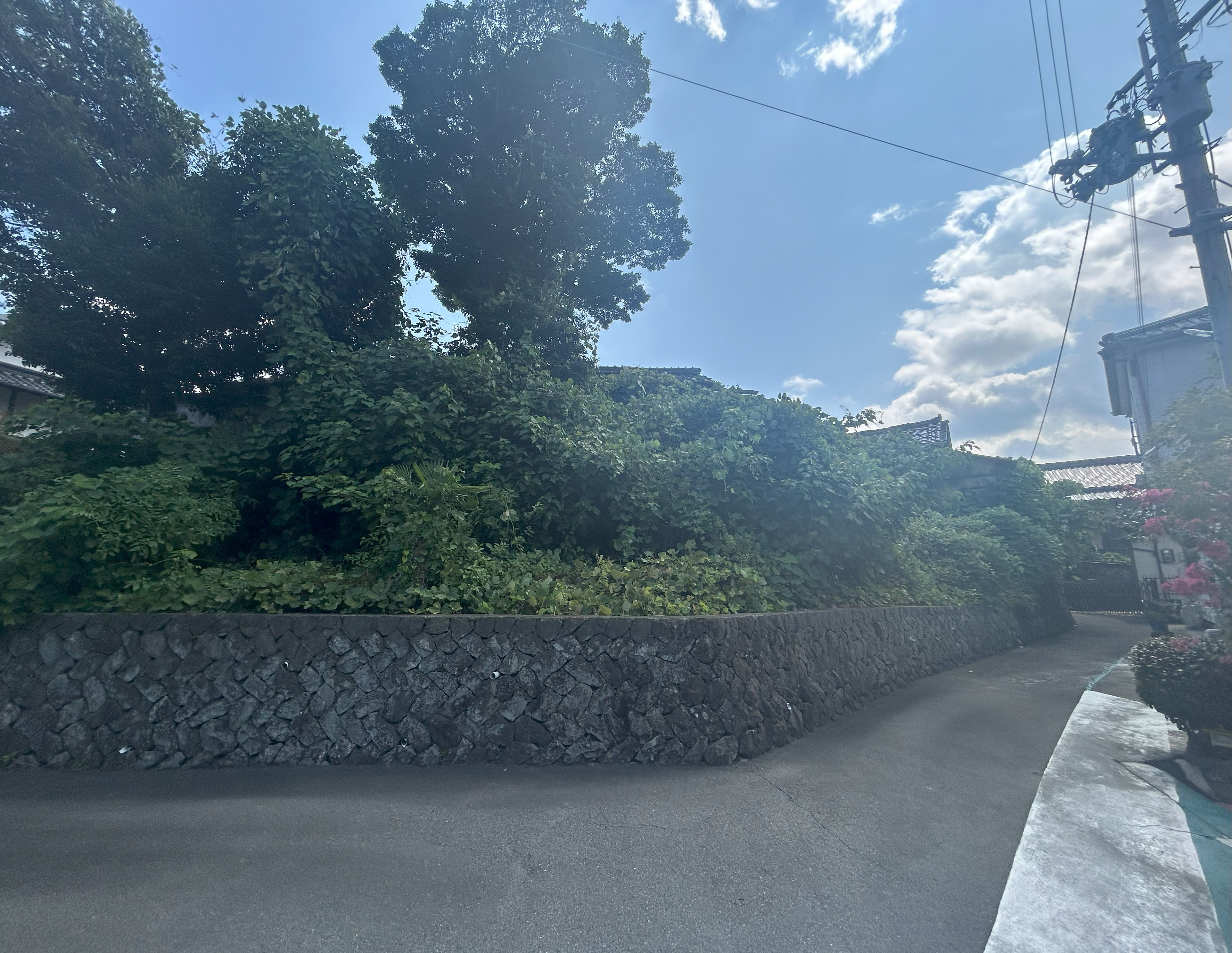 ☆ご売却依頼　新着物件☆　和泉市久井町土地の画像