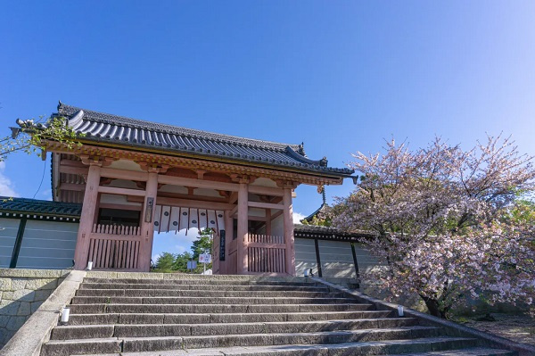 天王寺区で中古住宅を選ぶならどこが人気エリア？住みやすさと選...の画像