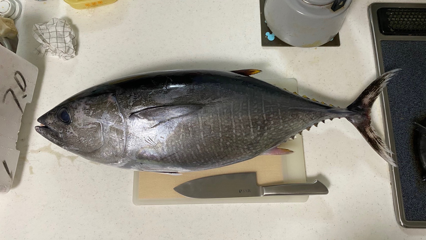 ☆釣ったどーーー☆の画像