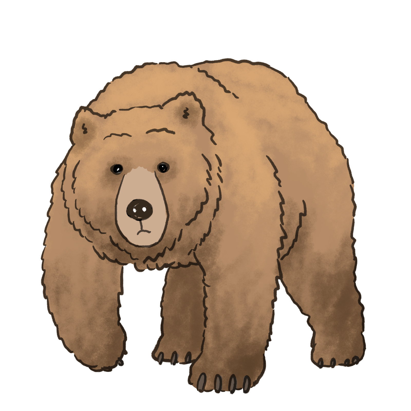 2025年 山梨県のクマ出没・目撃情報の画像