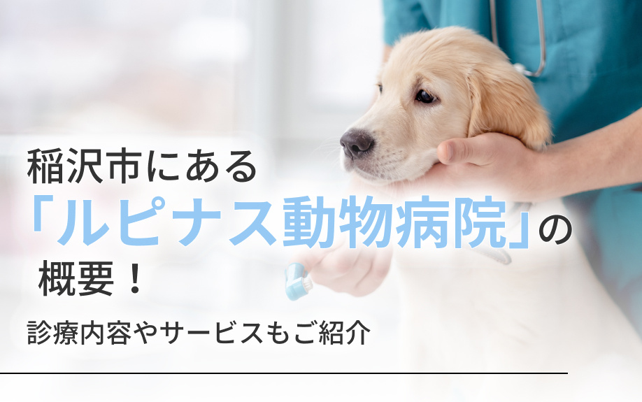 【2025年】稲沢市にある「ルピナス動物病院」の概要！診療内...の画像