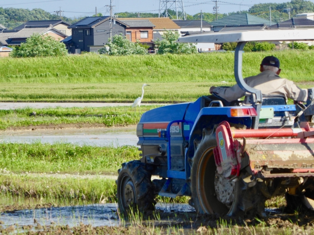 相続した農地は売却できる？手続きや税金に関する注意点について...の画像
