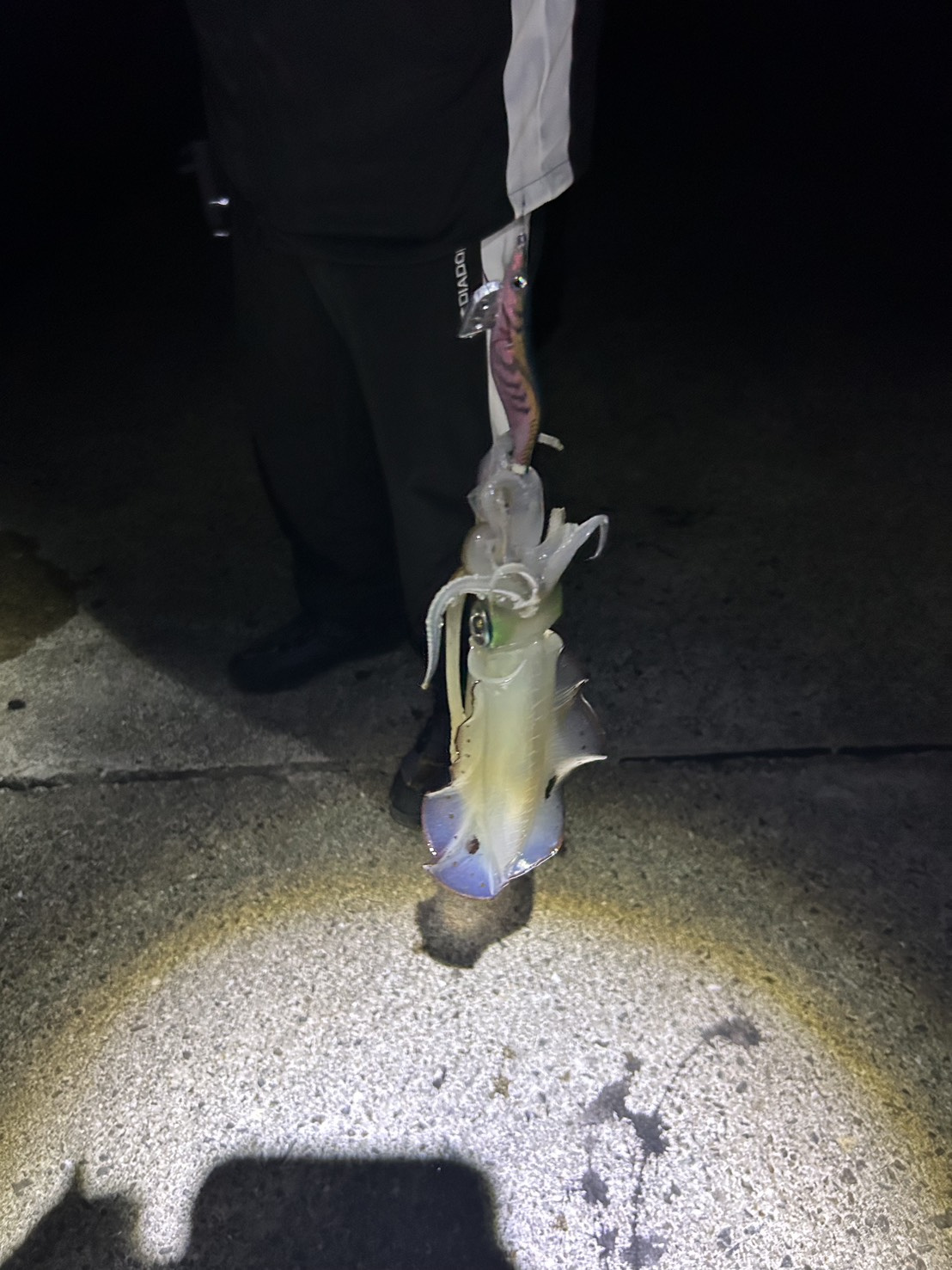 ☆シーズン突入☆の画像