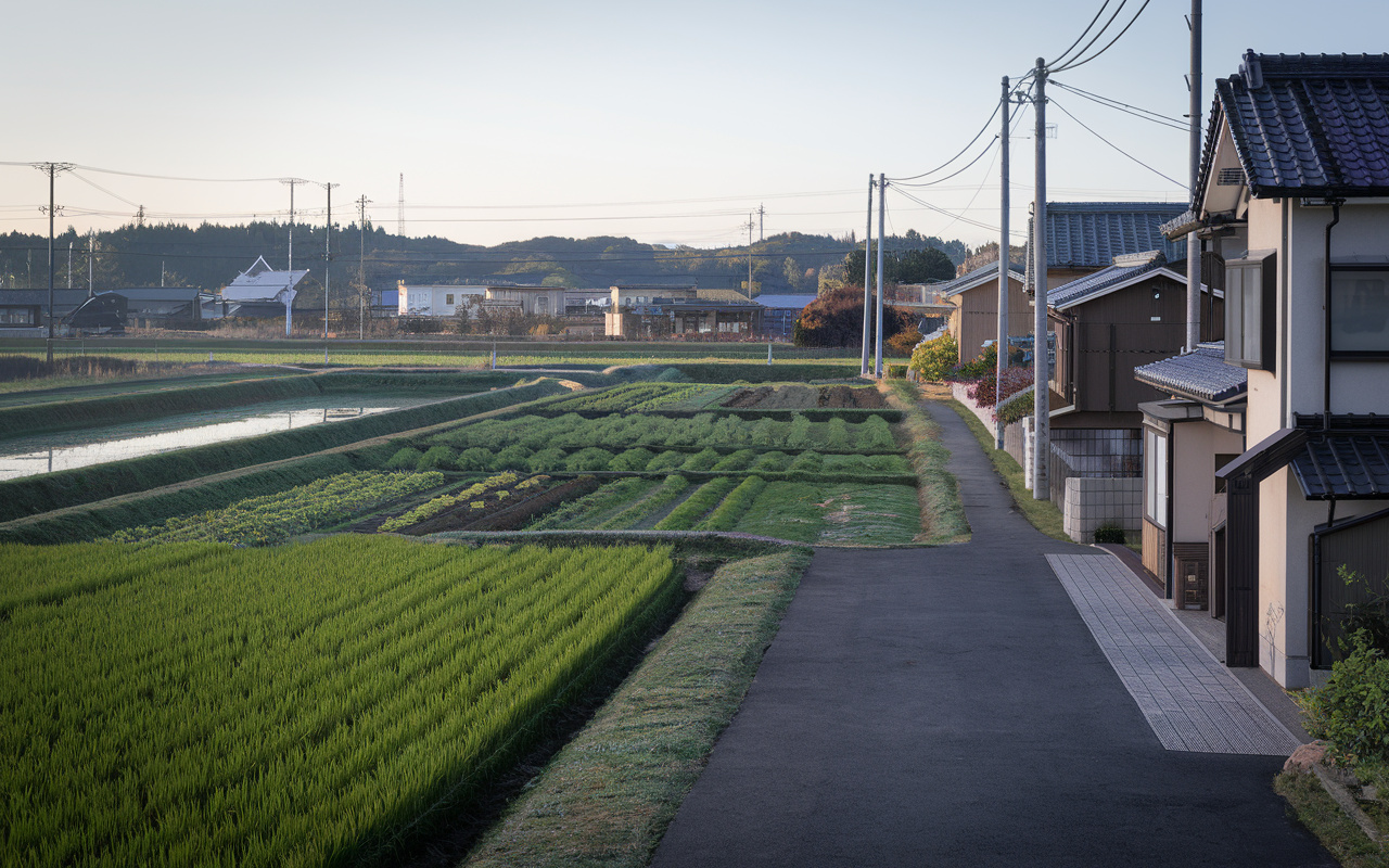 宇都宮市で農地を購入する際の注意点は？許可や手続きの流れも紹...の画像