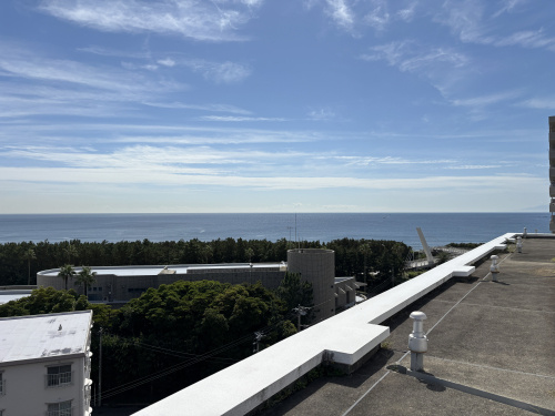 ◆海近の茅ヶ崎マンション写真撮影◆の画像