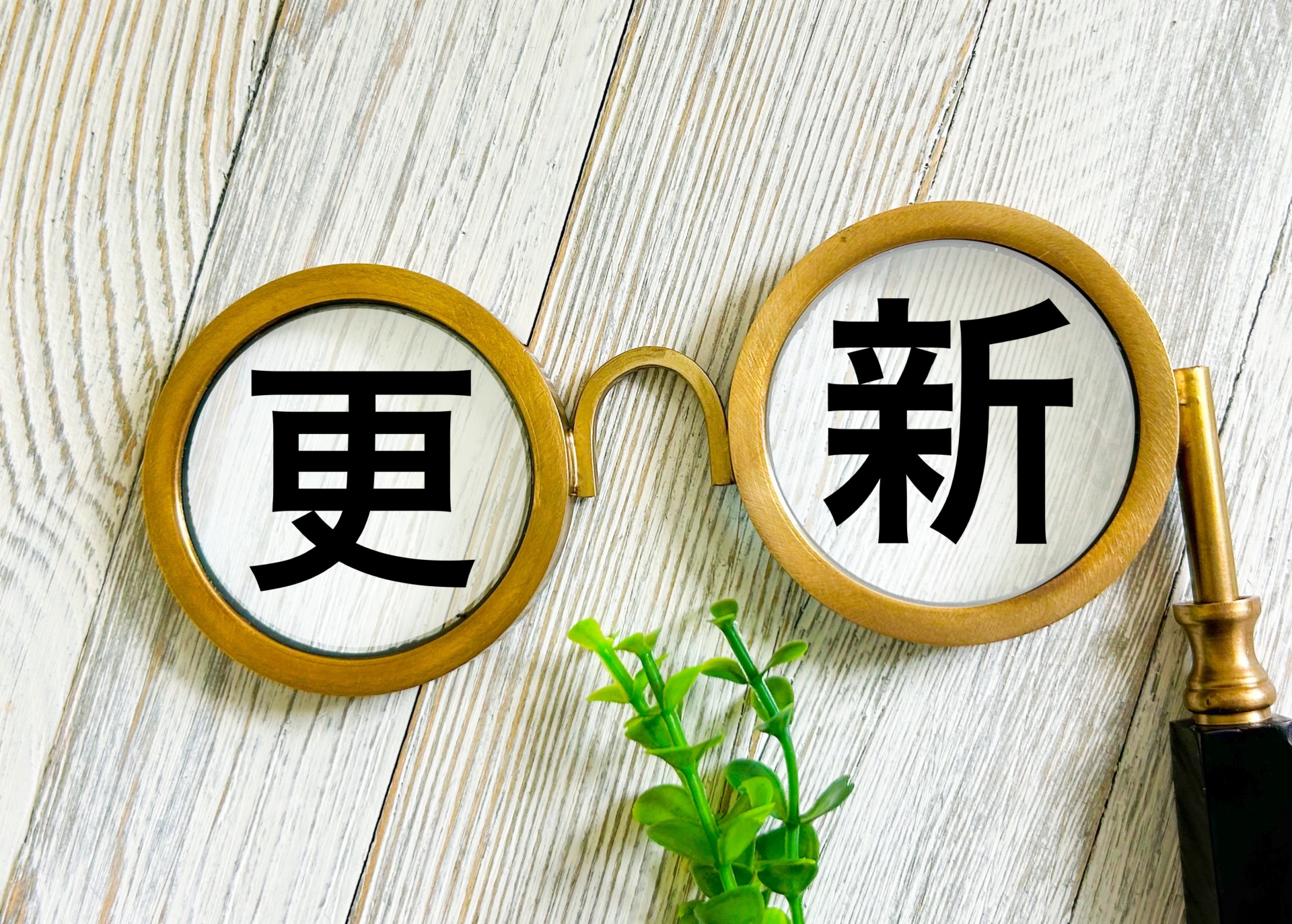 賃貸物件の更新手続きと注意すべきポイントの画像