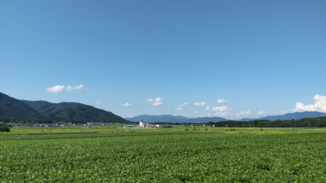 市街化調整区域の土地売却で注意点は？手続きやリスクも解説の画像