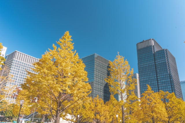 規制は脅威か追い風か？――高市政権で注目の規制が東京都内の外...の画像