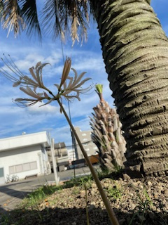 秋！の画像
