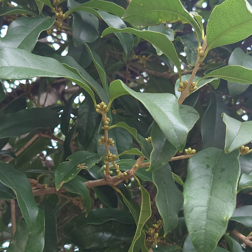 あと少しの画像