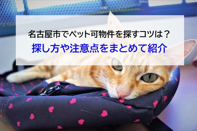 名古屋市でペット可物件を探すコツは？探し方や注意点をまとめて...の画像