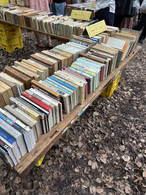 読書の秋♪の画像