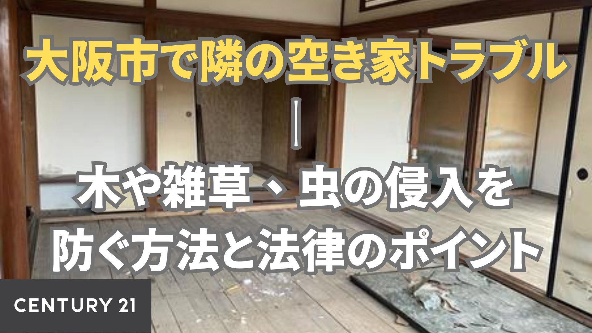 大阪市で隣の空き家トラブル｜木や雑草、虫の侵入を防ぐ方法と法...の画像