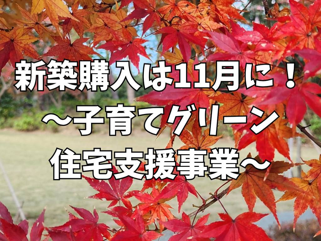 補助金最大100万円！11月中に動けばまだ間に合う「子育てグ...の画像