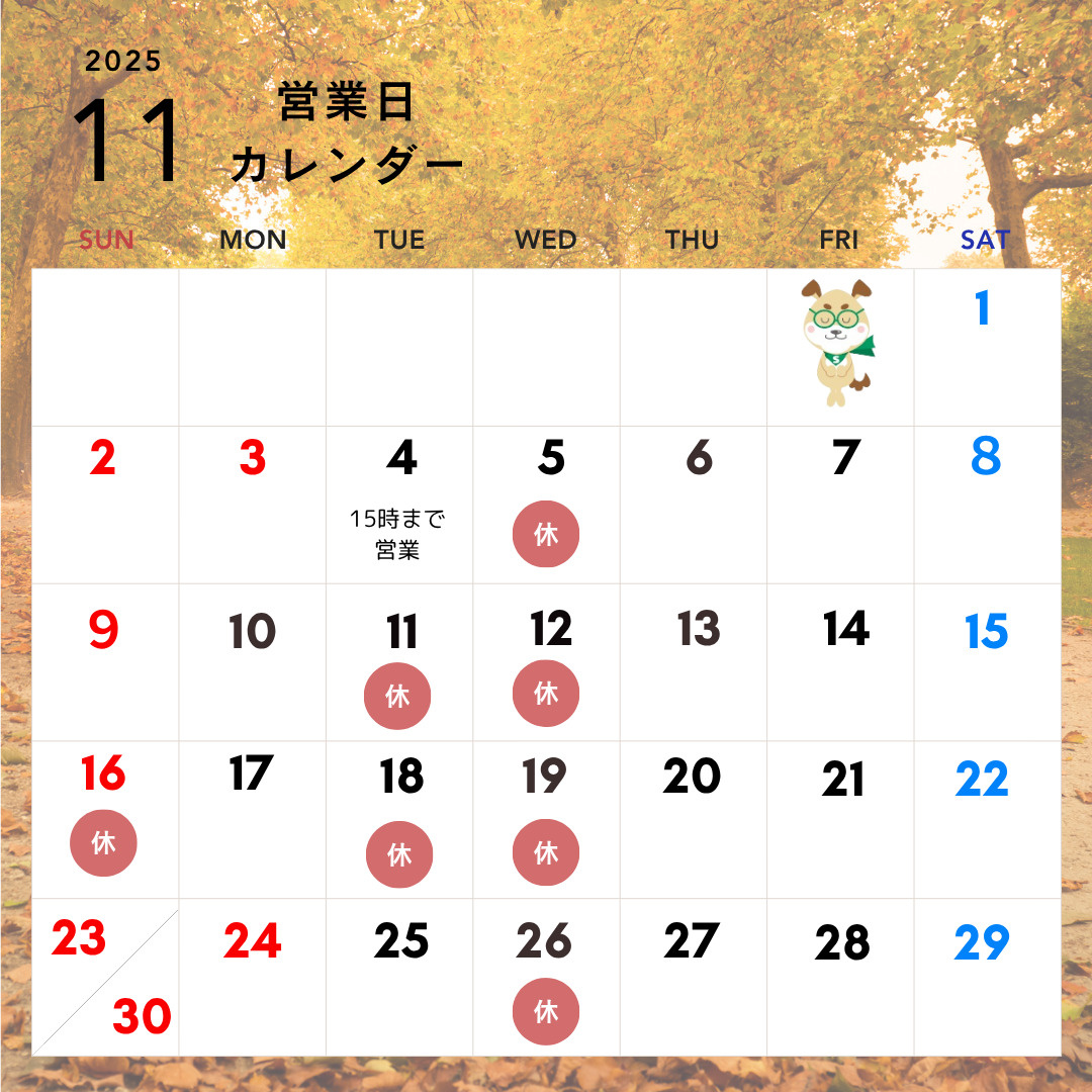 11月の営業日カレンダーをご案内いたします。の画像