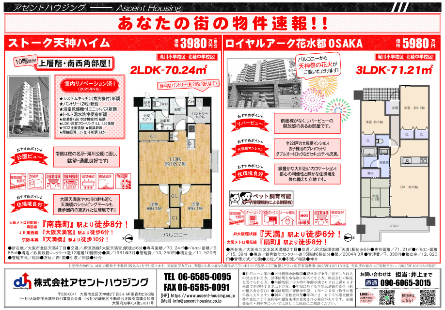 広告＆オープンハウス開催：11/1(土)～11/3(祝・月)...の画像