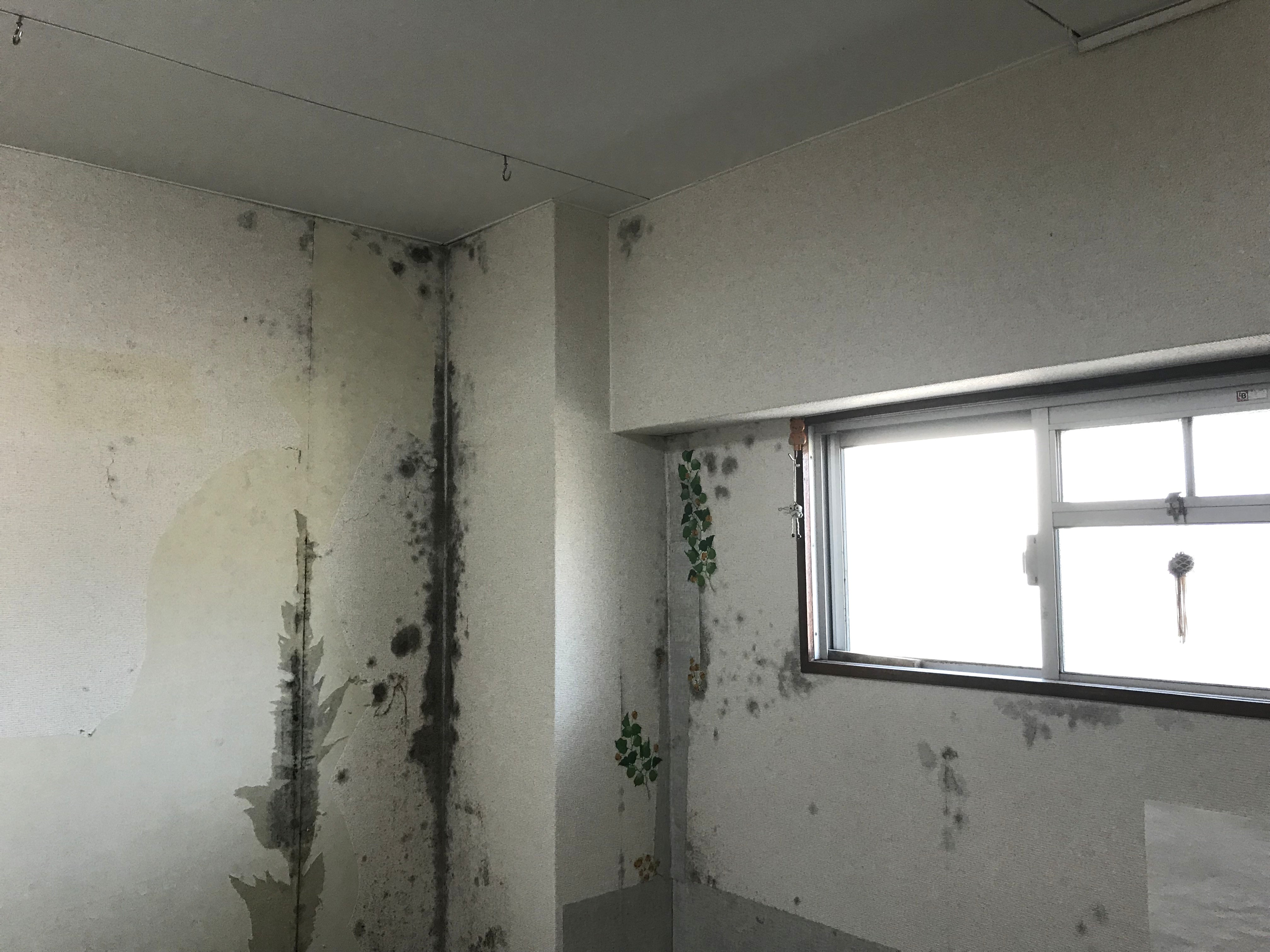 岐阜市の冬の気候とアパート管理者として知っておきたい湿気・カ...の画像