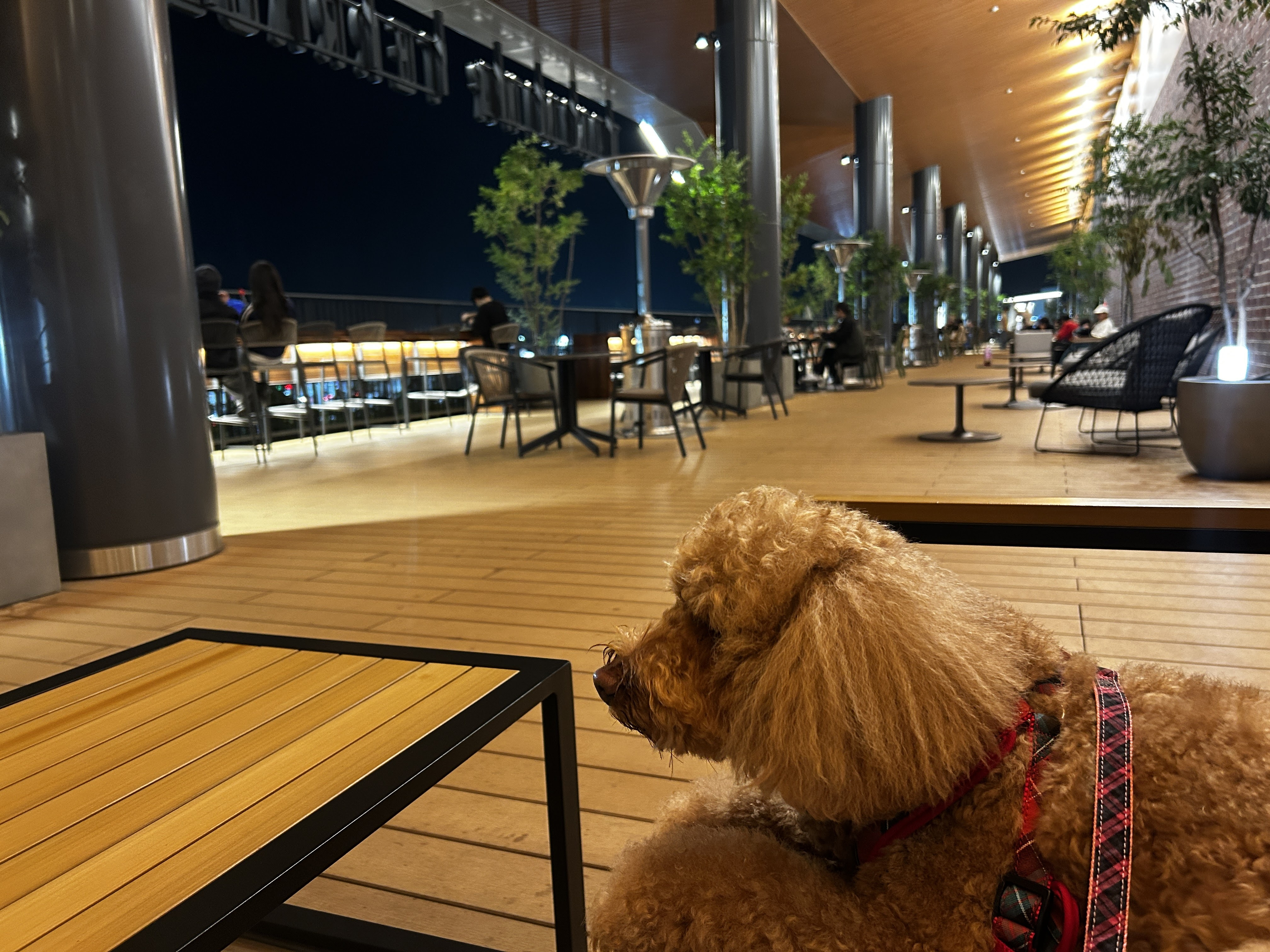 イオンモール土岐の画像