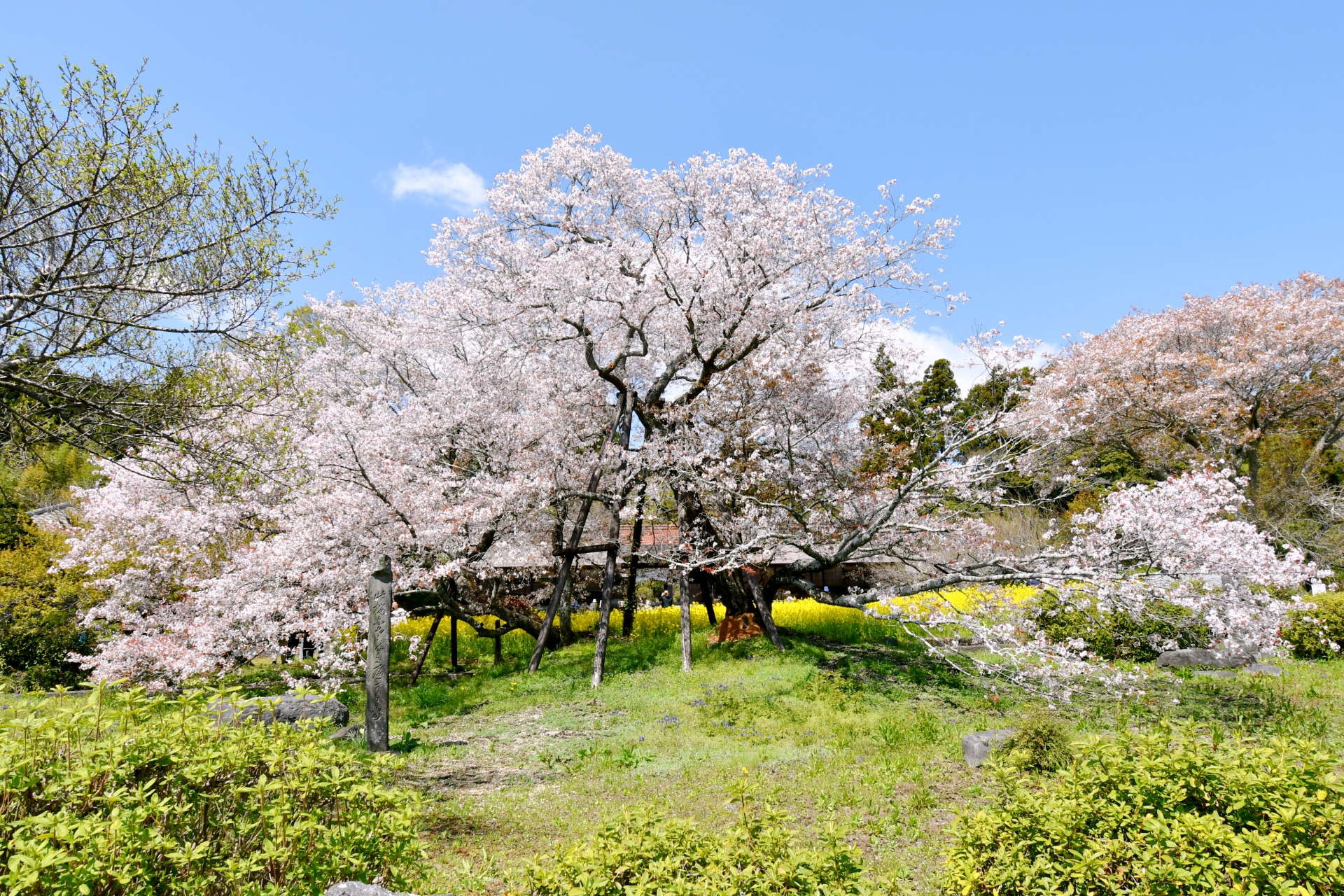 【福岡市・糟屋郡】お子様の未来を考えた賢い住まい選び！知って...の画像