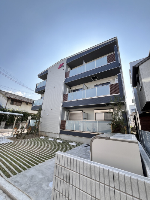 F asecia Phanesの画像