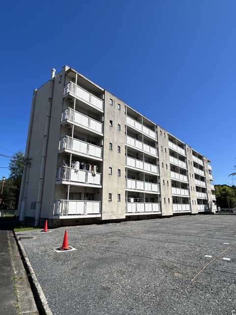 「外国籍のお客様も大歓迎「Oasis　Umedaira」」の画像