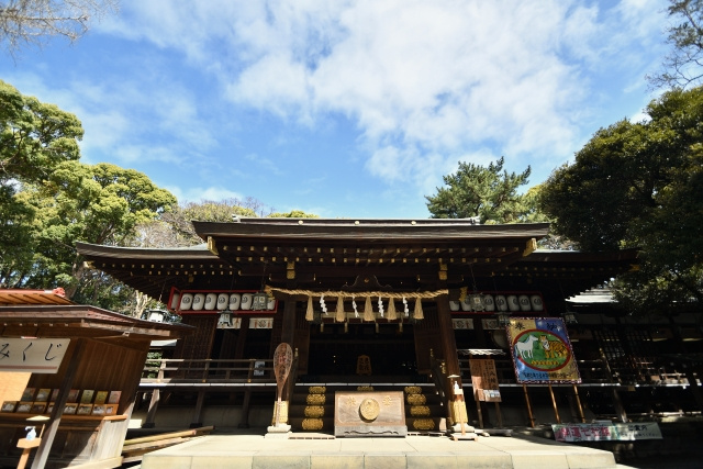 平塚vs茅ヶ崎どっちが住みやすい？湘南移住で後悔しないエリア...の画像