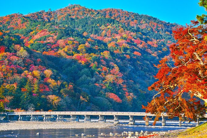 紅葉の画像