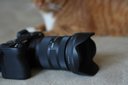 にゃんこうぼうの画像