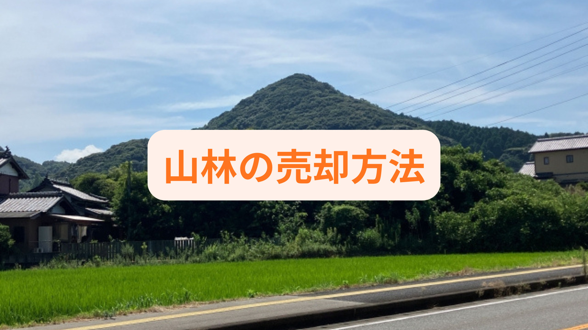 山林の売却を検討中の方へ方法を紹介！税金や手続きの流れも解説...の画像
