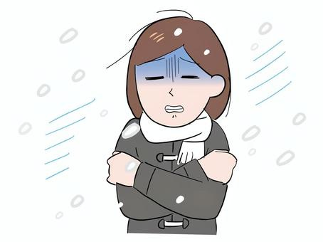 いよいよ冬ですか・・の画像